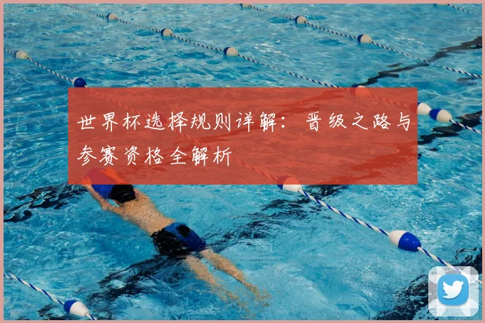 世界杯选择规则详解：晋级之路与参赛资格全解析