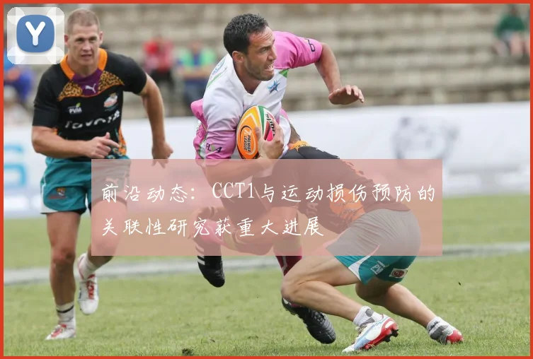 前沿动态：CCT1与运动损伤预防的关联性研究获重大进展